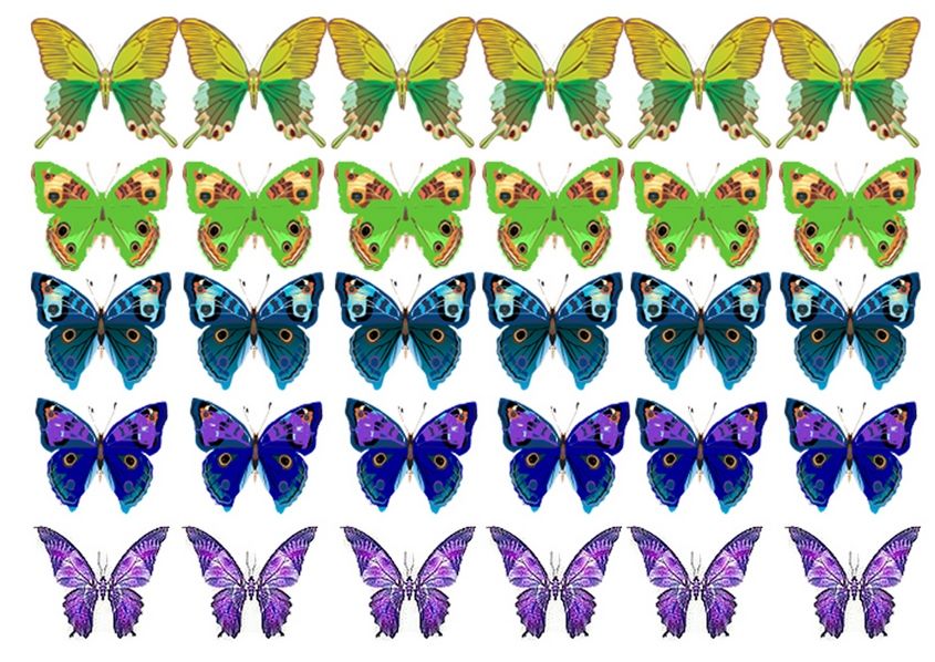 Вафельна картинка Метелики 13 - фото