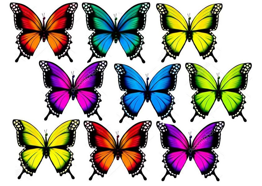 Вафельная картинка Бабочки 17 - фото