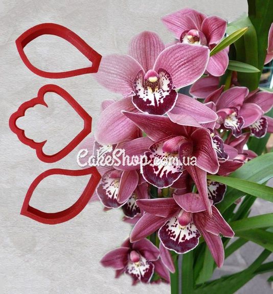 ⋗ Набор каттеров Цимбидиум купить в Украине ➛ CakeShop.com.ua, фото