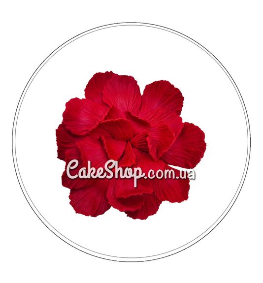 ⋗ Сахарные фигурки Лепестки красные ТМ Ириска купить в Украине ➛ CakeShop.com.ua, фото