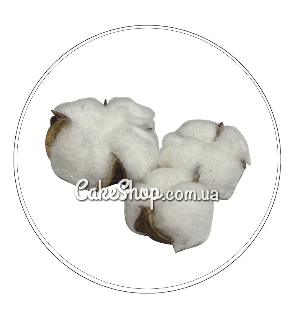 ⋗ Хлопок сухоцвет (без ножки), 3 шт купить в Украине ➛ CakeShop.com.ua, фото