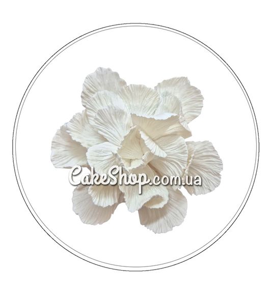 ⋗ Цукрові фігурки Пелюстки білі ТМ Іриска купити в Україні ➛ CakeShop.com.ua, фото