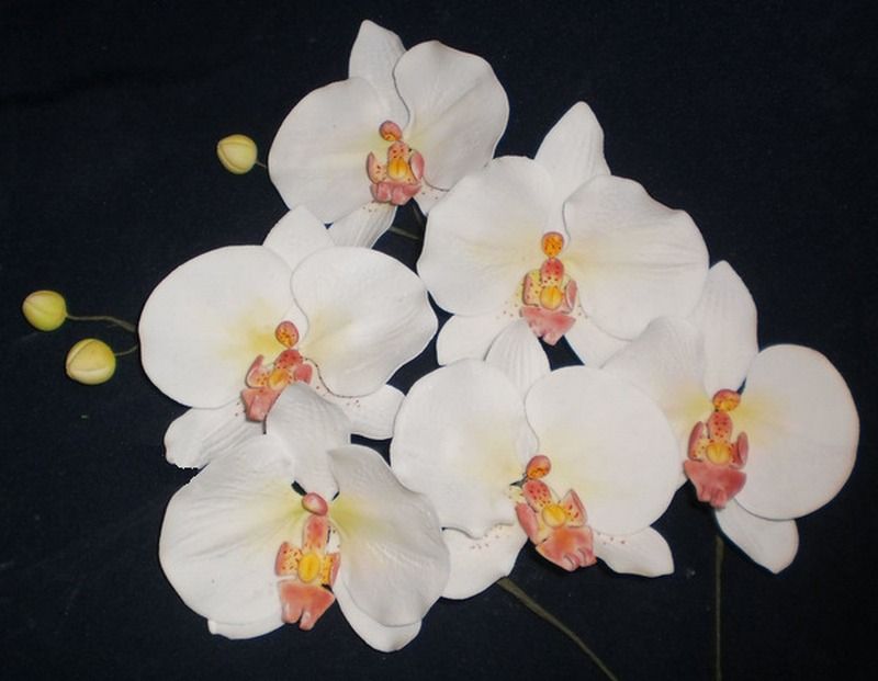 ⋗ Набор силиконовых вайнеров Орхидея 3 купить в Украине ➛ CakeShop.com.ua, фото