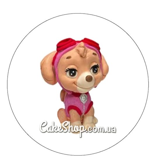 ⋗ Шоколадна фігурка Скай ТМ ДімК купити в Україні ➛ CakeShop.com.ua, фото