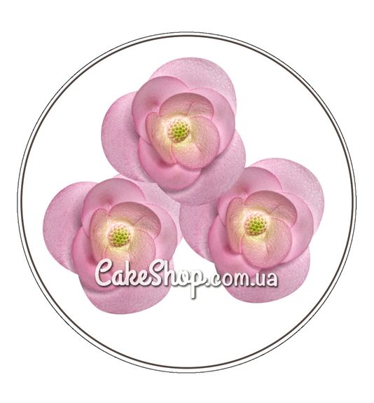 ⋗ Вафельна квітка Мальва (рожева) 8 шт купити в Україні ➛ CakeShop.com.ua, фото