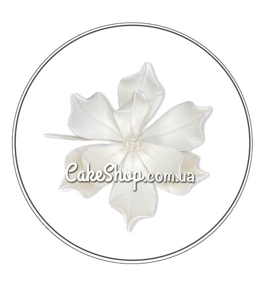 ⋗ Сахарные фигурки Магнолия Премиум моно белая ТМ Сладо купить в Украине ➛ CakeShop.com.ua, фото