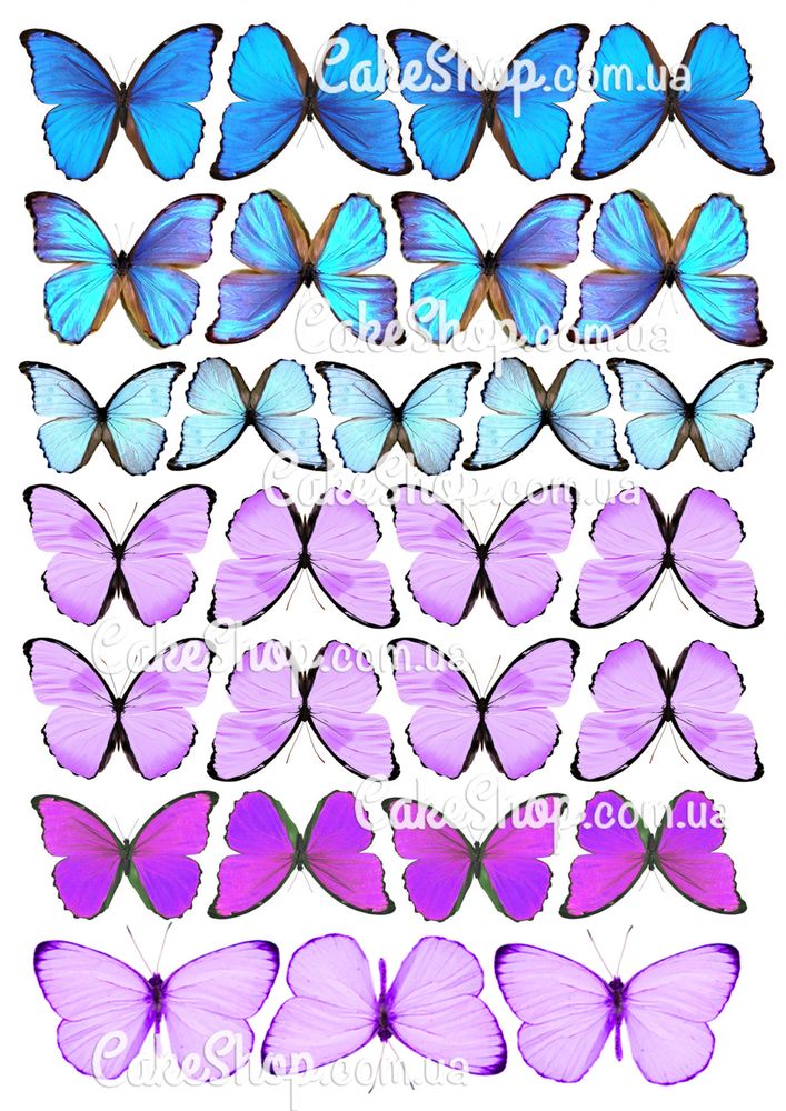 Вафельная картинка Бабочки 15 - фото