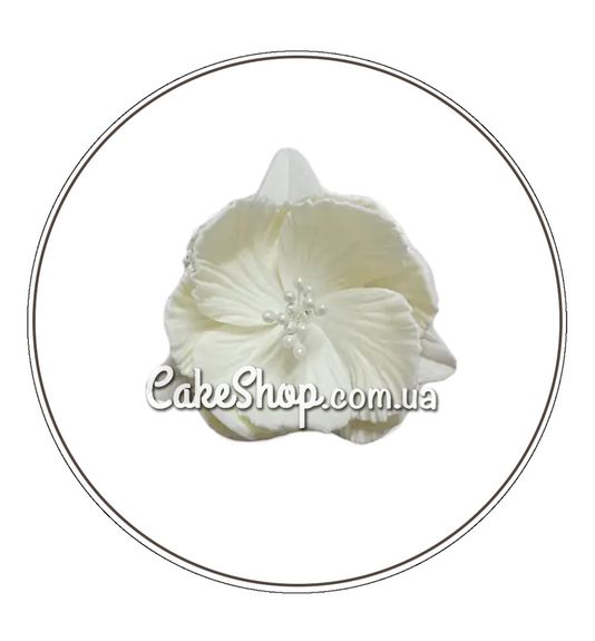 ⋗ Сахарные фигурки Пион D=60 моно белая ТМ Сладо купить в Украине ➛ CakeShop.com.ua, фото