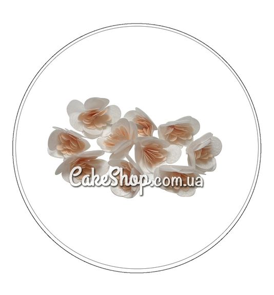 ⋗ Вафельный цветок Примулка персиковая 10 шт, DR купить в Украине ➛ CakeShop.com.ua, фото
