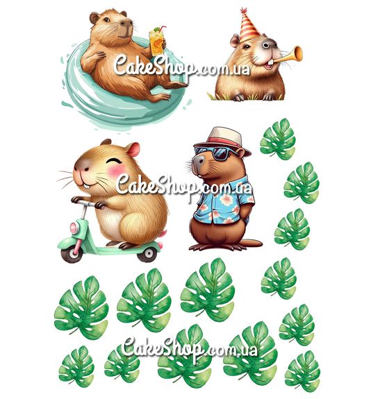 ⋗ Вафельна картинка Капібара купити в Україні ➛ CakeShop.com.ua, фото