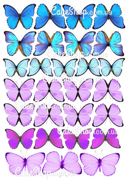 ⋗ Вафельна картинка Метелики 15 купити в Україні ➛ CakeShop.com.ua, фото