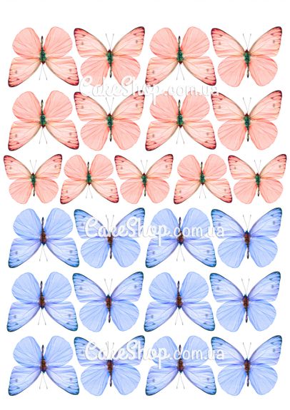 ⋗ Вафельна картинка Метелики 12 купити в Україні ➛ CakeShop.com.ua, фото