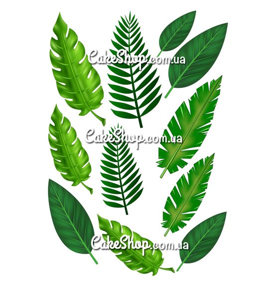 ⋗ Цукрова картинка Листя сафарі купити в Україні ➛ CakeShop.com.ua, фото