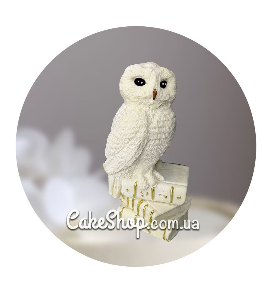 Шоколадная фигурка Сова на книгах ТМ ДимК - фото