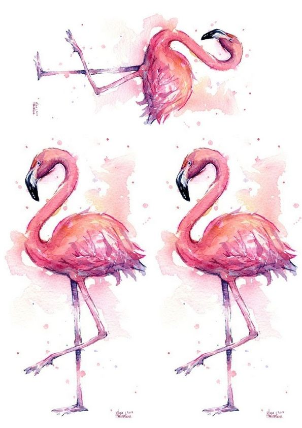 Вафельная картинка Фламинго 4 - фото