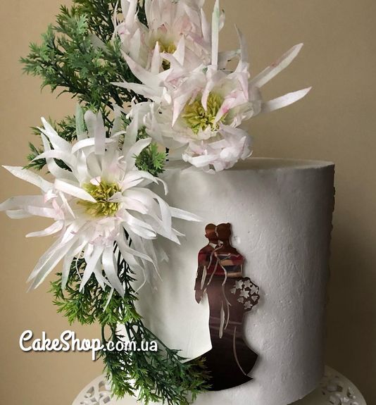 ⋗ Акриловый топпер DZ Молодожены платье рыбка золото купить в Украине ➛ CakeShop.com.ua, фото