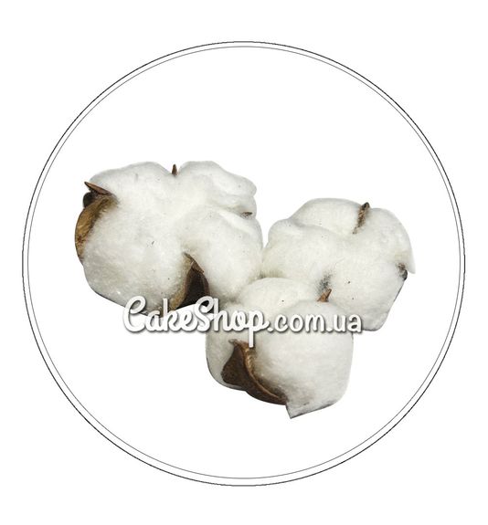 ⋗ Хлопок сухоцвет (без ножки), 3 шт купить в Украине ➛ CakeShop.com.ua, фото