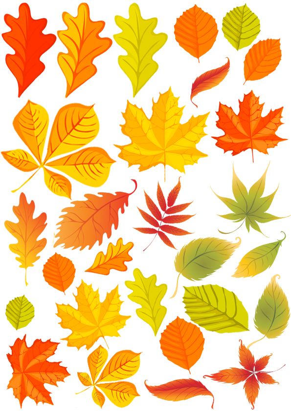 Вафельна картинка Принт Осіннє листя - фото
