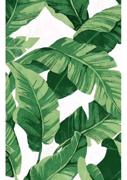 ⋗ Вафельна картинка Принт листя банана в стилі D&G купити в Україні ➛ CakeShop.com.ua, фото