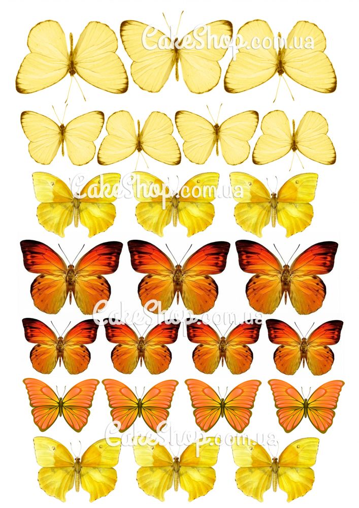 Вафельна картинка Метелики 9 - фото