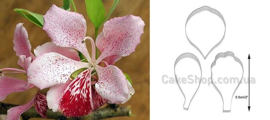 ⋗ Набор каттеров Орхидея Баухиния купить в Украине ➛ CakeShop.com.ua, фото