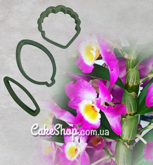 ⋗ Набір каттерів Орхідея Дендробіум велика купити в Україні ➛ CakeShop.com.ua, фото