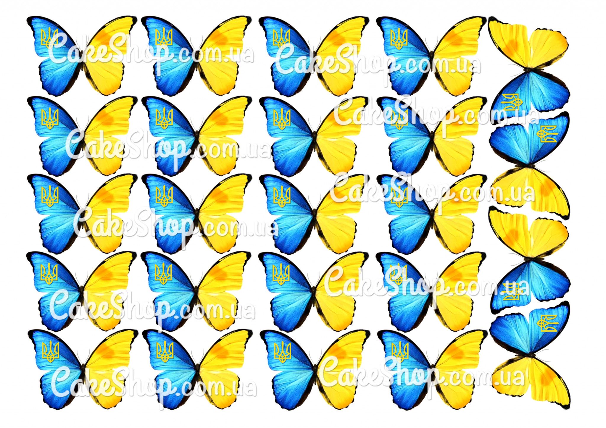 ⋗ Вафельна картинка Метелики Патріотичні купити в Україні ➛ CakeShop.com.ua, фото