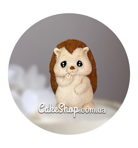 ⋗ Шоколадная фигурка Ёжик ТМ ДимК купить в Украине ➛ CakeShop.com.ua, фото