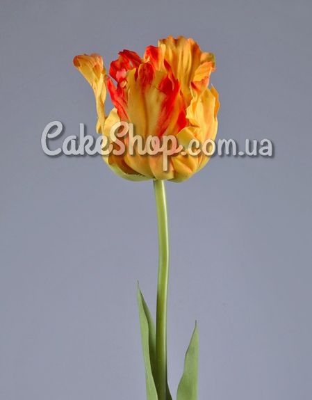 ⋗ Силиконовый вайнер Лепесток тюльпана Попугай купить в Украине ➛ CakeShop.com.ua, фото