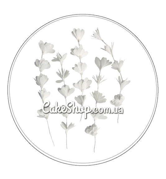 ⋗ Вафельный цветок Веточка сакуры белая ТМ Сладо купить в Украине ➛ CakeShop.com.ua, фото