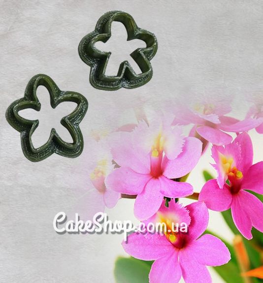 ⋗ Набор каттеров Орхидея Эпидендрум купить в Украине ➛ CakeShop.com.ua, фото