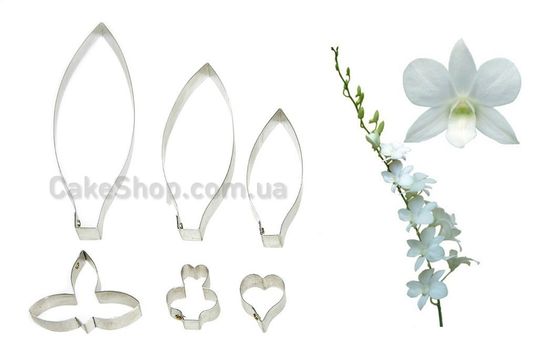 ⋗ Набір пластикових каттерів Дендробіум купити в Україні ➛ CakeShop.com.ua, фото