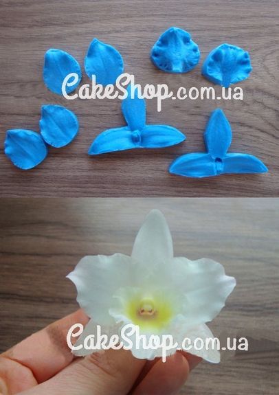 ⋗ Силіконовий вайнер Лист орхідеї Дендробіум купити в Україні ➛ CakeShop.com.ua, фото