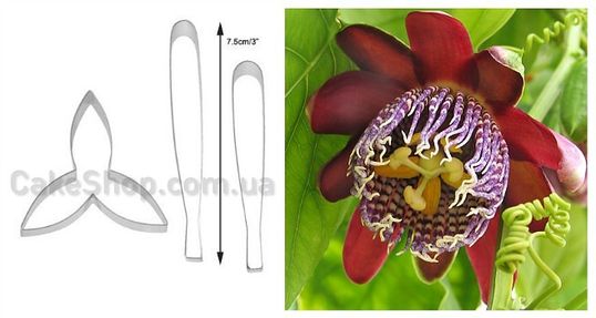 ⋗ Набор каттеров Пасифлора купить в Украине ➛ CakeShop.com.ua, фото
