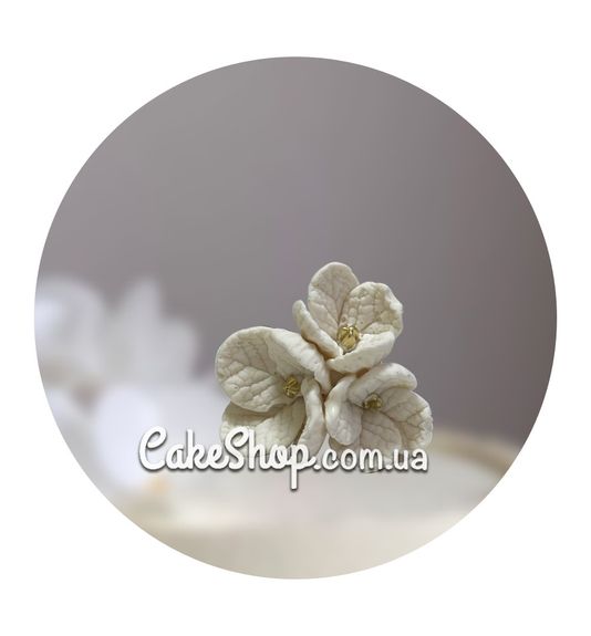 ⋗ Шоколадная фигурка Крокус 2 белый ТМ ДомК купить в Украине ➛ CakeShop.com.ua, фото