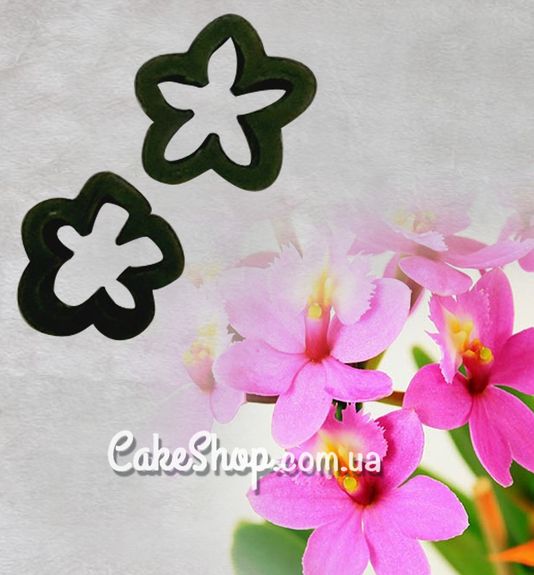 ⋗ Набор каттеров Орхидея Эпидендрум купить в Украине ➛ CakeShop.com.ua, фото