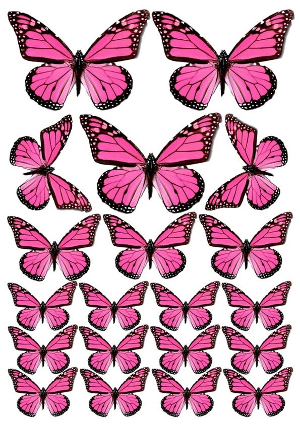 ⋗ Вафельна картинка Метелики 18 купити в Україні ➛ CakeShop.com.ua, фото