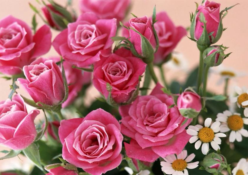 Вафельна картинка Троянди 1 - фото