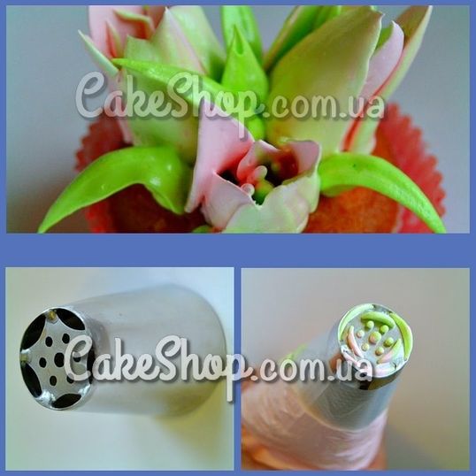 ⋗ Насадка 17 Тюльпан 5 пелюстків купити в Україні ➛ CakeShop.com.ua, фото