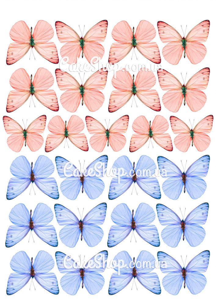 Вафельная картинка Бабочки 12 - фото