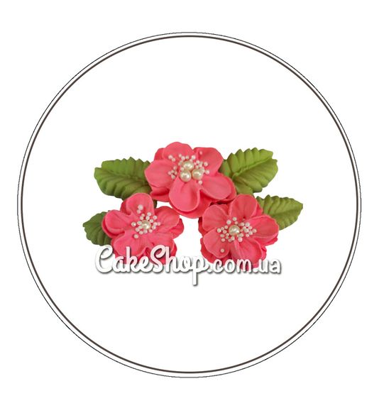 ⋗ Безе набор Цветы с жемчужиной розовые ТМ Ириска купить в Украине ➛ CakeShop.com.ua, фото