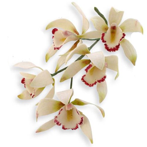 ⋗ Набор вырубок Орхидея купить в Украине ➛ CakeShop.com.ua, фото