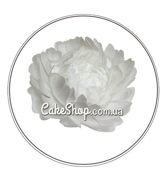 ⋗ Вафельна квітка Піон Білий великий ТМ ДімК купити в Україні ➛ CakeShop.com.ua, фото