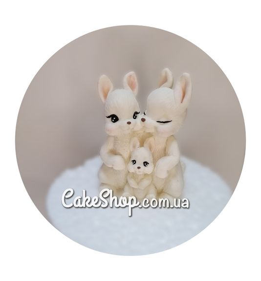 ⋗ Шоколадна фігурка Зайчата сім'я Біла ТМ ДімК купити в Україні ➛ CakeShop.com.ua, фото
