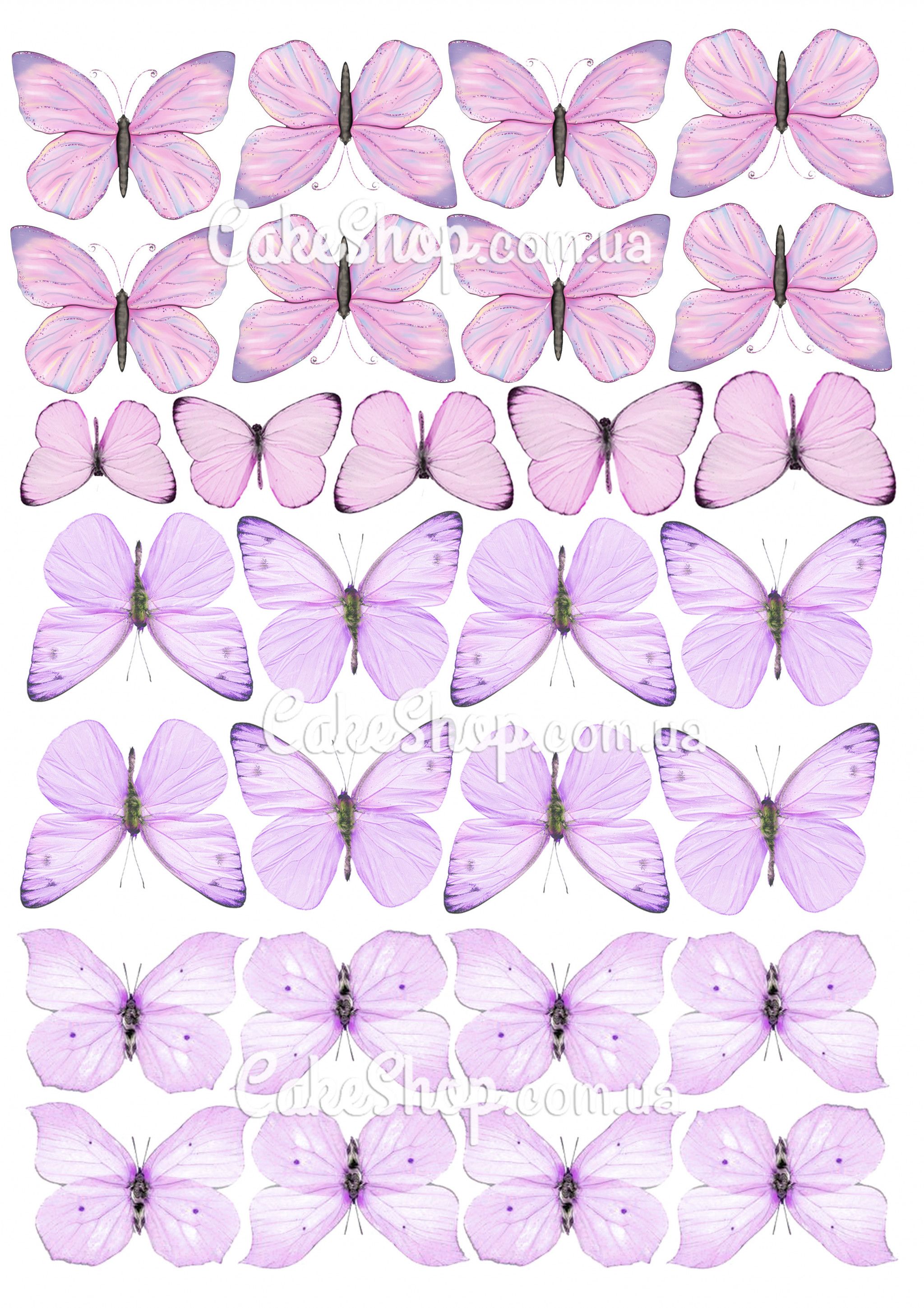⋗ Вафельна картинка Метелики 20 купити в Україні ➛ CakeShop.com.ua, фото