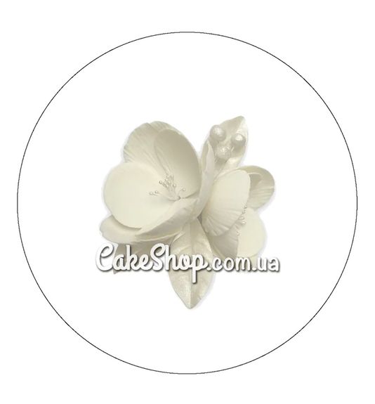 ⋗ Сахарные фигурки Магнолия белая с серебряными листьями ТМ Сладо купить в Украине ➛ CakeShop.com.ua, фото