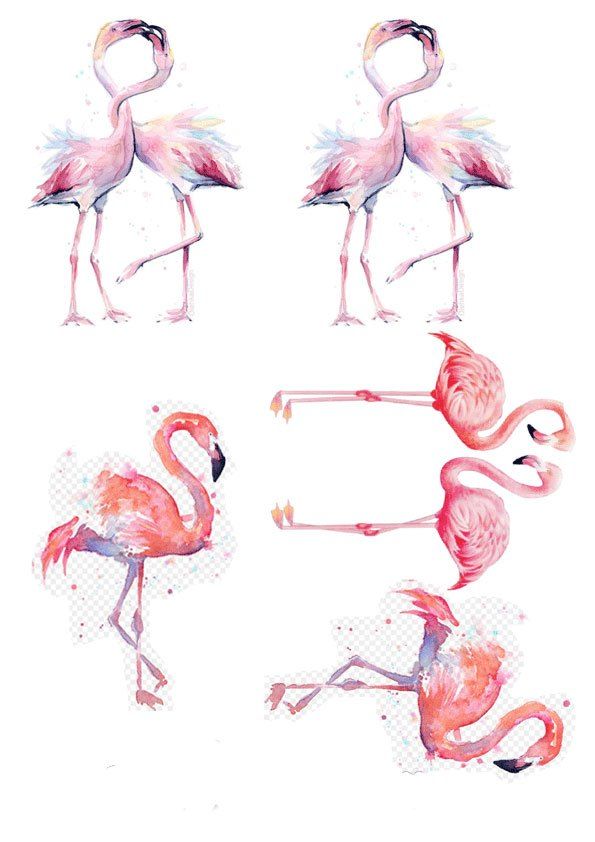 ⋗ Вафельная картинка Фламинго купить в Украине ➛ CakeShop.com.ua, фото