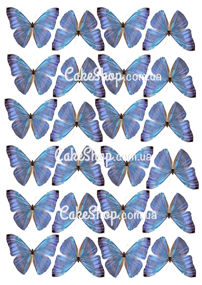 Вафельная картинка Бабочки 22 - фото