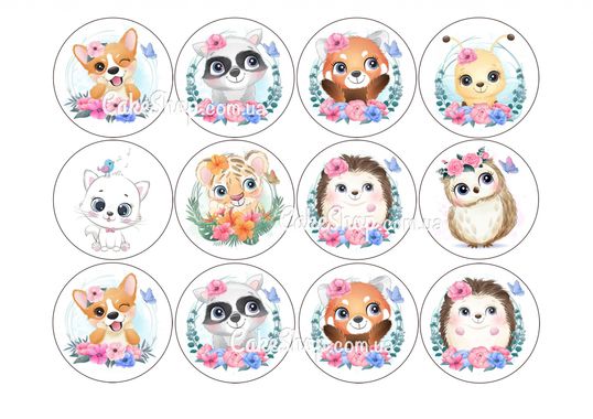 ⋗ Вафельная картинка Мультяшные животные купить в Украине ➛ CakeShop.com.ua, фото