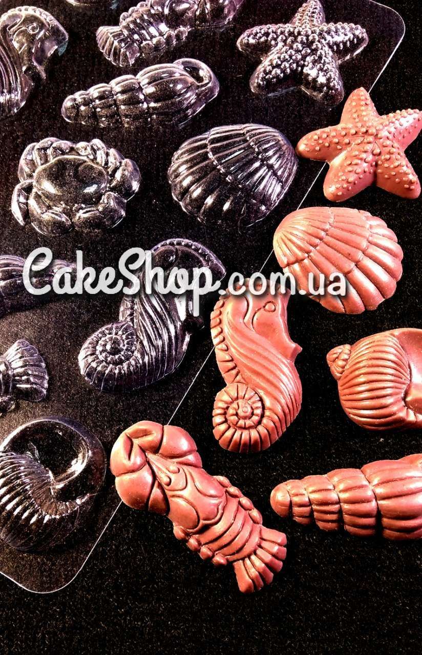 ⋗ Пластикова форма для шоколаду Мушлі купити в Україні ➛ CakeShop.com.ua, фото